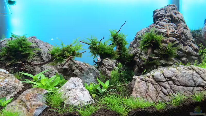 Woche 3 von BastiB (5)