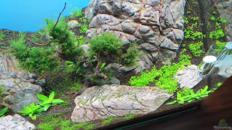 Woche 3 von BastiB (7)