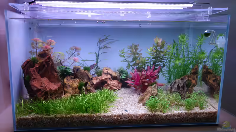 Woche 4 von Bernde (5)