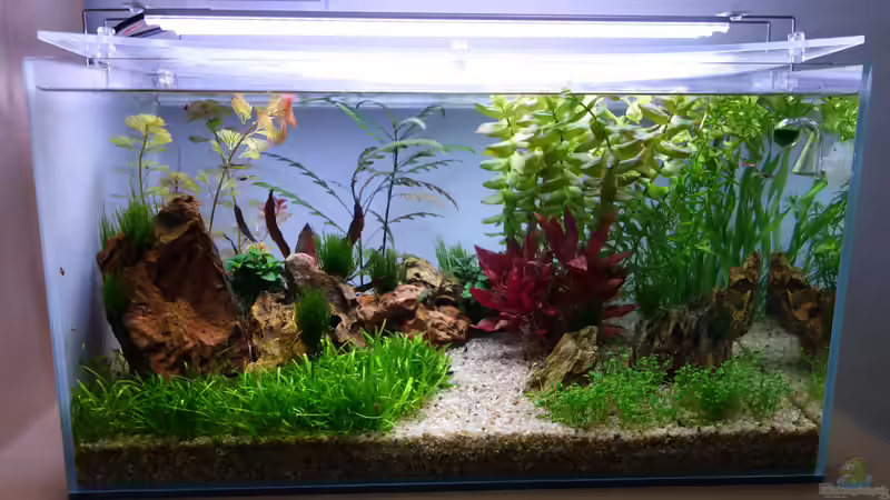 Woche 7 von Bernde (6)