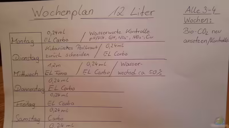 Wochenplan - Auf Regelmäßigkeit wird geachtet von Schnegge (4)