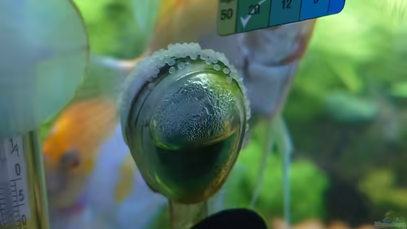 Wofür ein CO2 Dauertest doch gut ist... von Stefan von Oettingen (32)