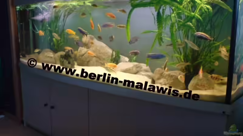 Woha Panorama 200 x 50 x 60 = 672 L