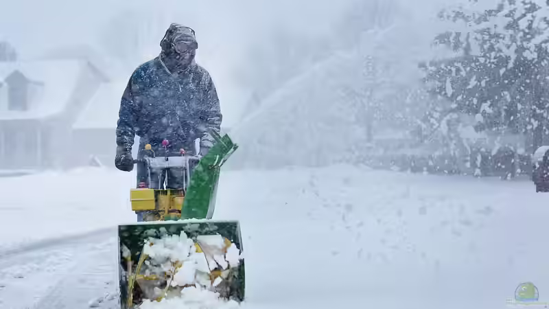 Wohin mit dem Schnee? Sinnvolle Ablageflächen im Garten