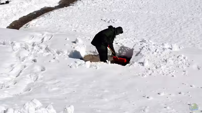 Wohin mit dem Schnee? Sinnvolle Ablageflächen im Garten