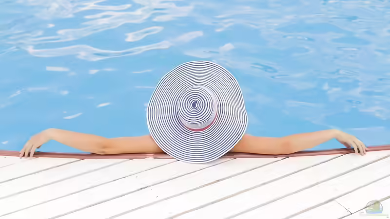 Wohin mit den Fischen? Versorgung von Teichfischen während des Urlaubs