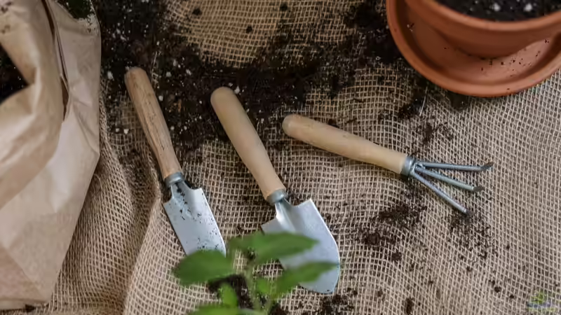 Wohin mit Gartengeräten & Co.? Vier clevere Ideen für mehr Ordnung