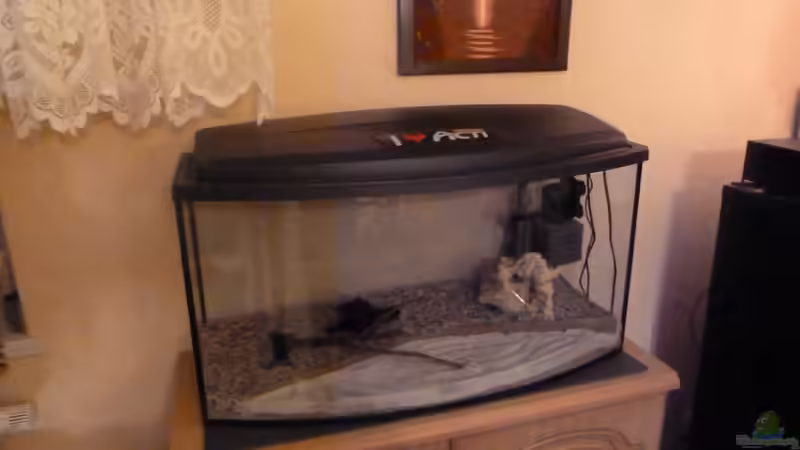 Wohin wird wohl die Eirichtung gehen ? von Couro (3)