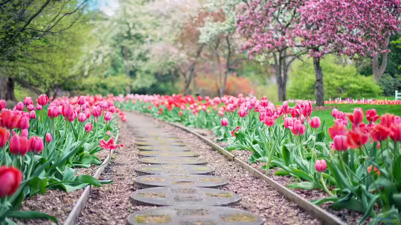 Wohlfühlmomente im Garten bewusst erzeugen: Dein Weg zum persönlichen Outdoor-Paradies