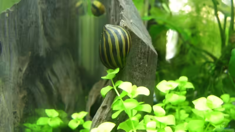 Wohlfühloase von Nanonana (1)