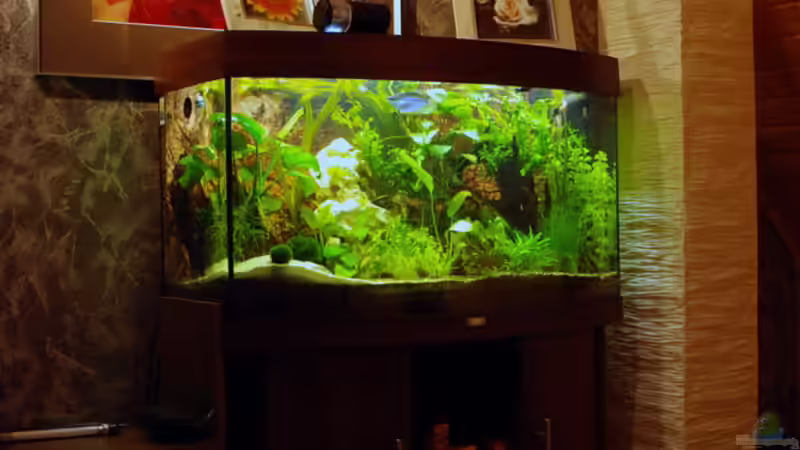 Wohnraumansicht  von Digibastler (2)