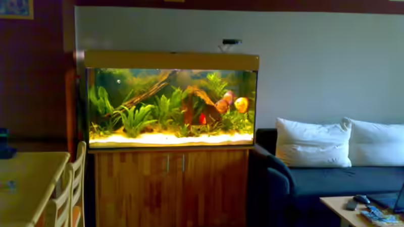 Wohnzimmer von Amazonasbecken.eu (8)