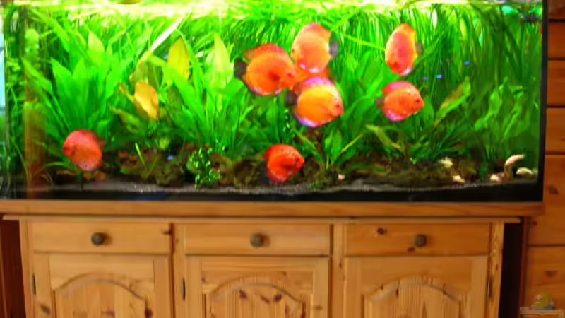 Wohnzimmer von Frank Bühler-Zeller (2)