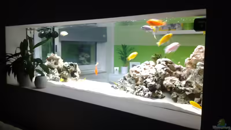 Wohnzimmer von merlin1910 (2)