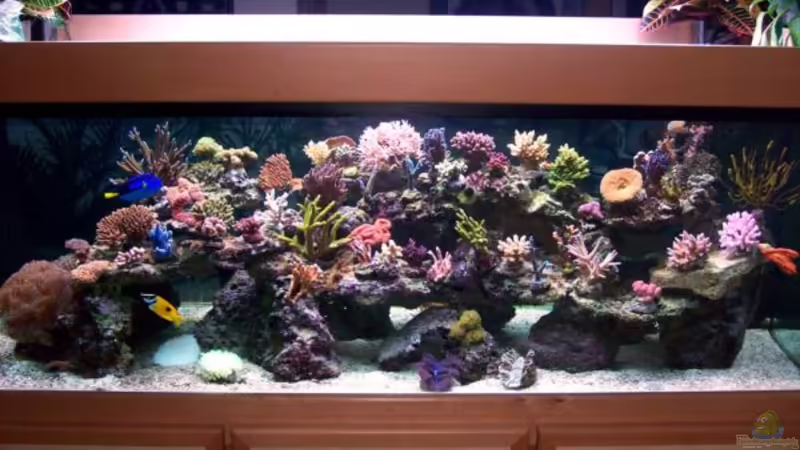 Wohnzimmeransicht  von Lars Leonhardt (1)