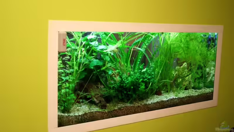 Wohnzimmerseite 20.09.2011 von hirschjäger (17)