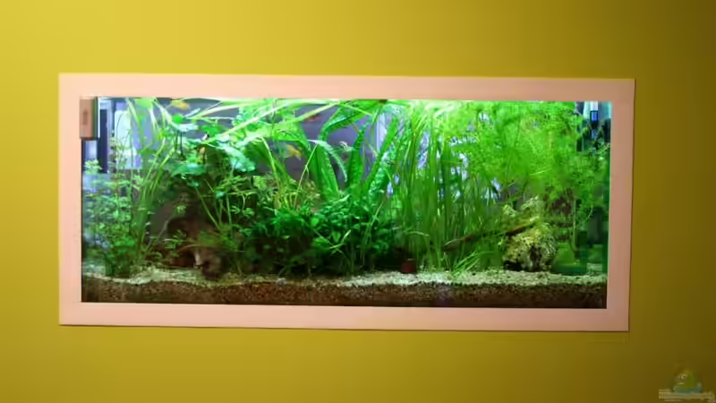 Wohnzimmerseite 20.9.2011 von hirschjäger (16)