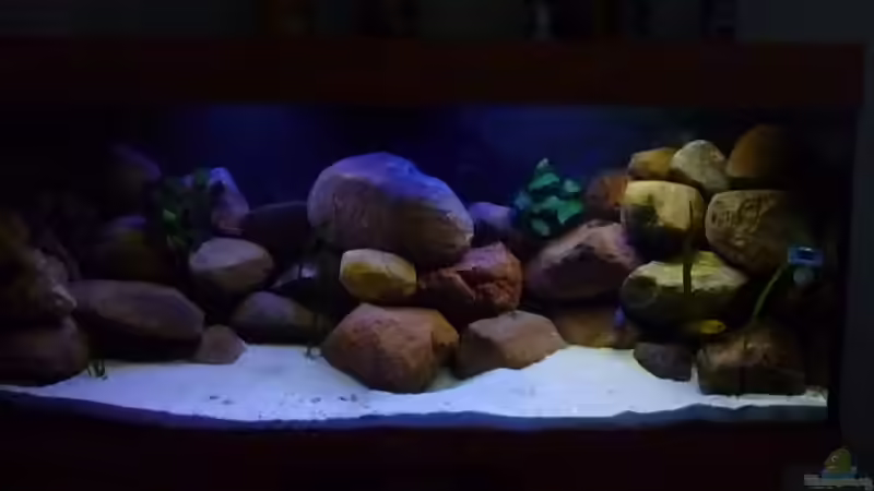 Wolkensimulation von Yellow Man (3)