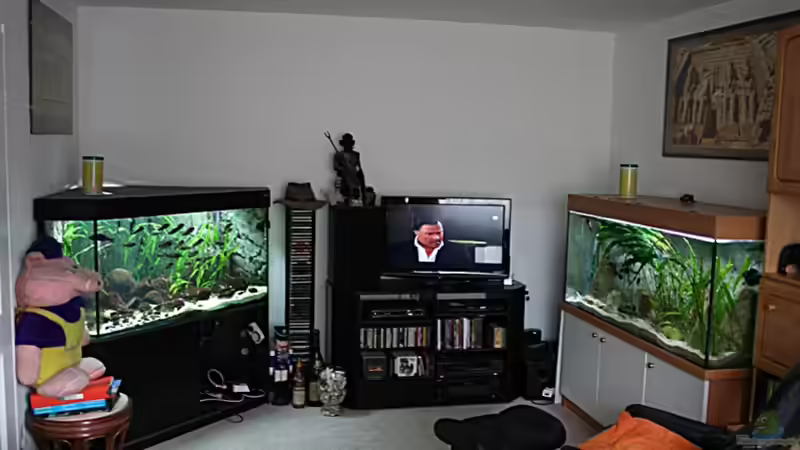 Wonzimmer nach dem Umbau von Maclya (23)