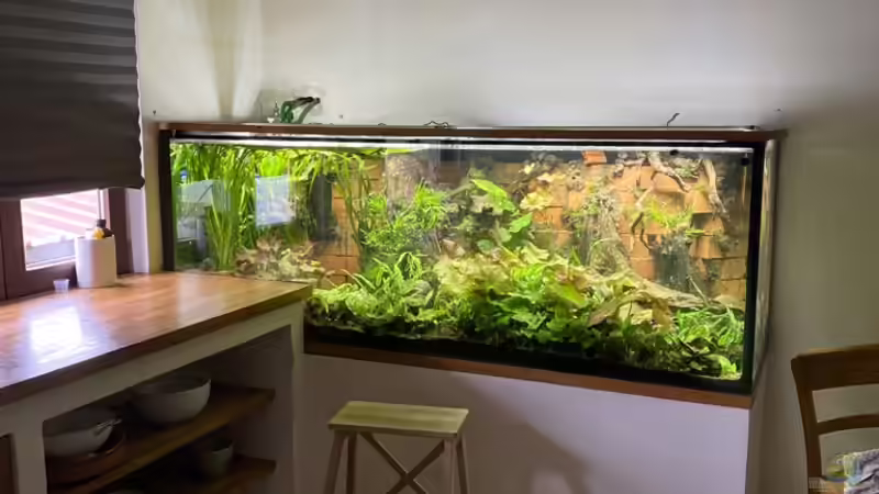 Work in progress... von Lina L. (4)