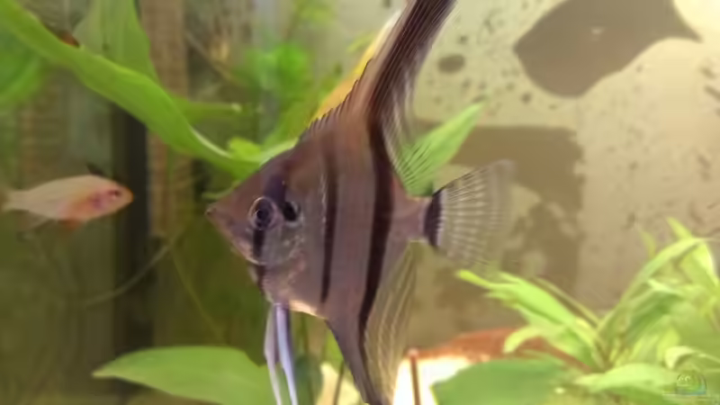 Wow :-) von Jan H. (29)