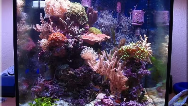 Würfelnano am 10.03.07 von Petra Kallmeyer (1)