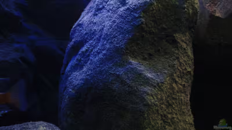 Wunderbare Aufnahme.... von Florian Bandhauer (17)