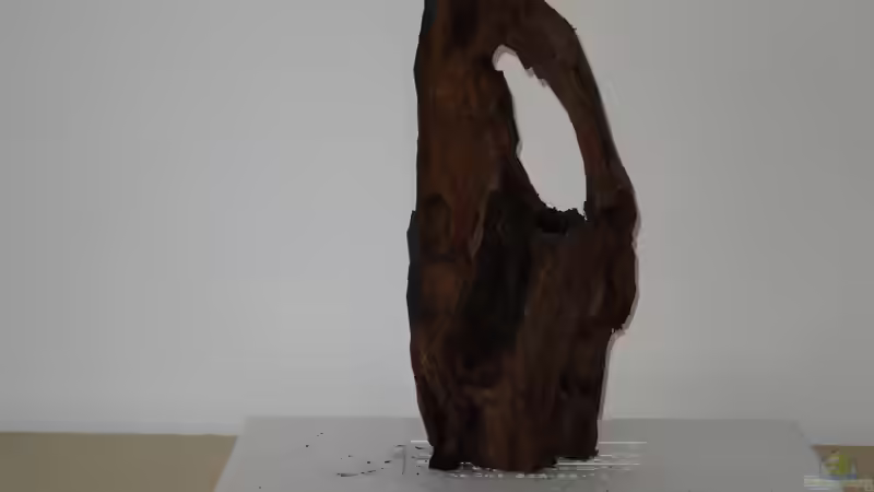 Wurzel 1 von coachdriver_uwe (44)