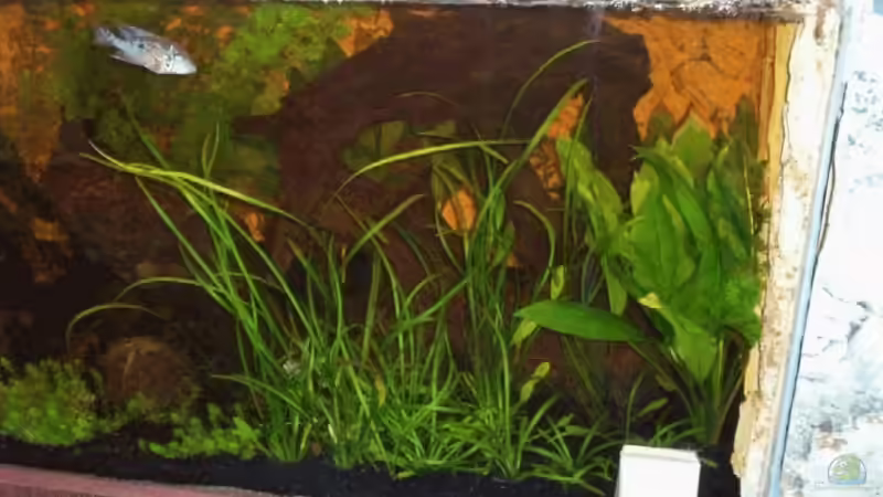 Wurzel 2 von Anja Hermes (4)