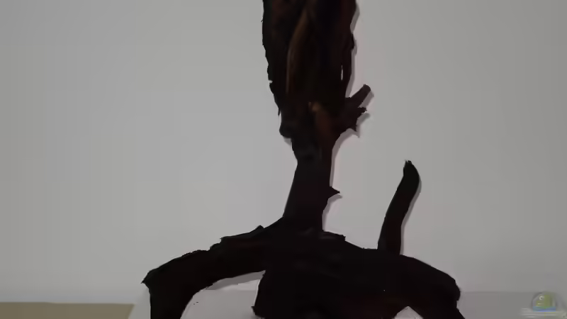 Wurzel 2 von coachdriver_uwe (46)