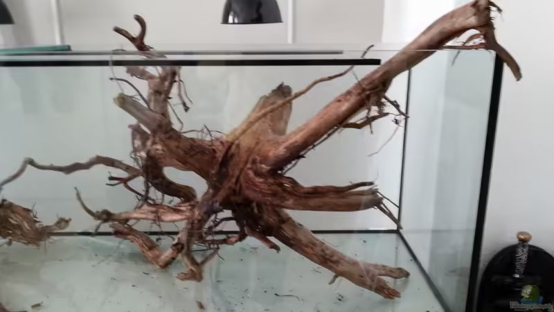 Wurzel 2 von seb (33)