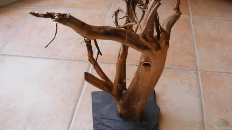 Wurzel auf Schieferplatte geschraubt von Adamov (28)