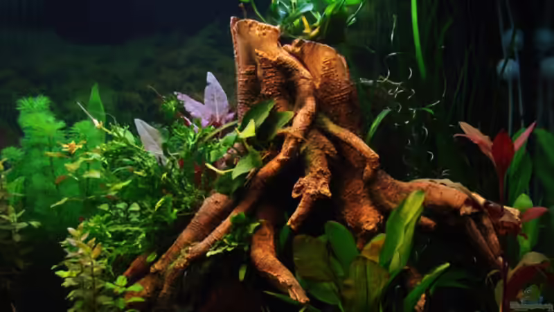 Wurzel aus Kunststoff mit Kokosnussschale von Dirk (5)