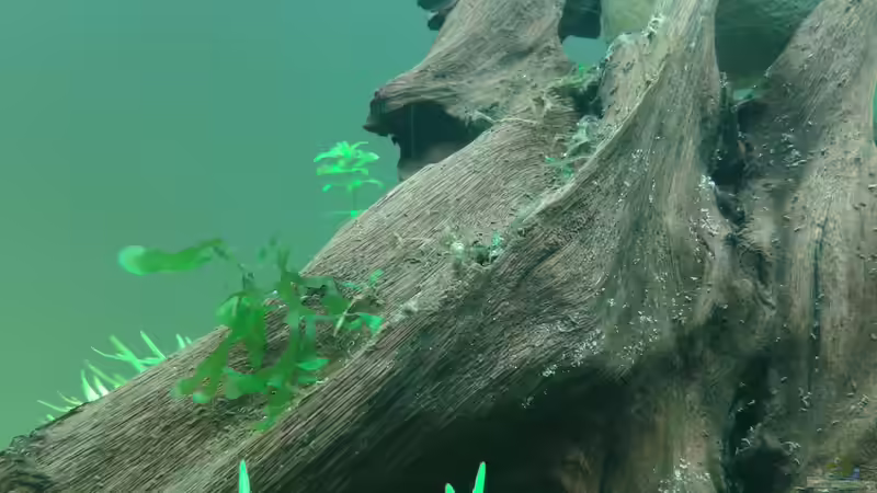 Wurzel im Detail von er1301 (20)