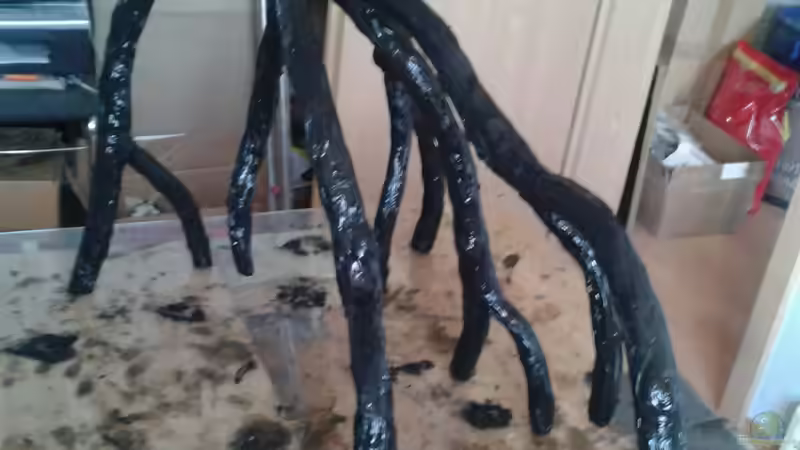 Wurzel in der Herstellung von Pirarucu (10)