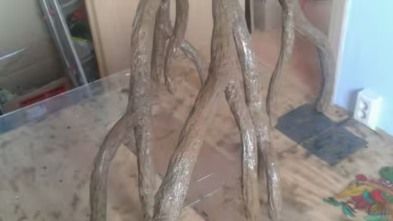 Wurzel in der Herstellung von Pirarucu (13)