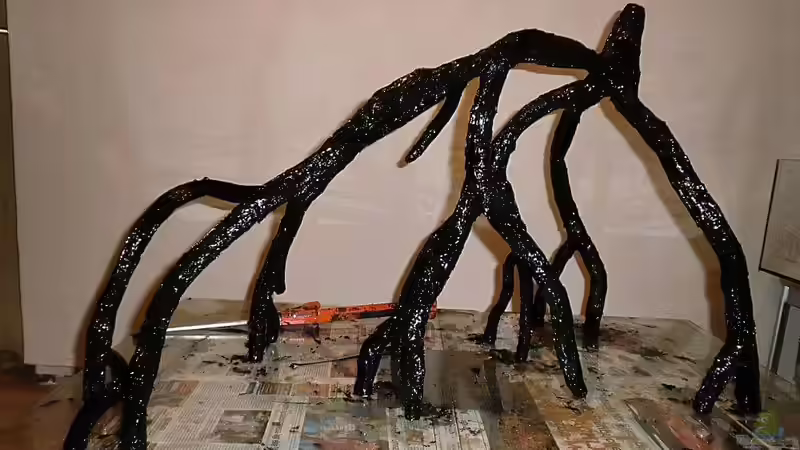 Wurzel in der Herstellung von Pirarucu (14)