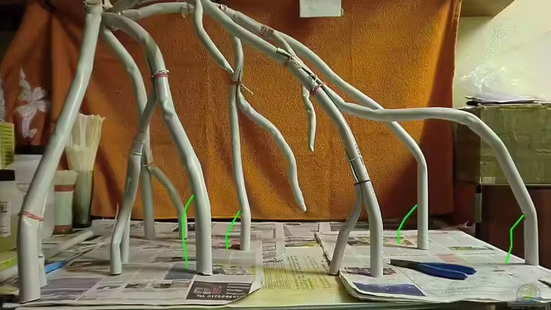 Wurzel in der Herstellung von Pirarucu (8)