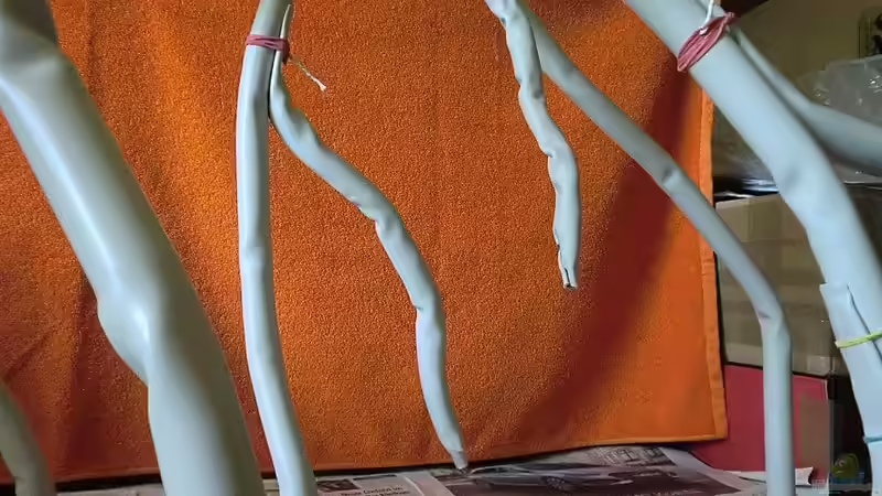 Wurzel in der Herstellung von Pirarucu (9)