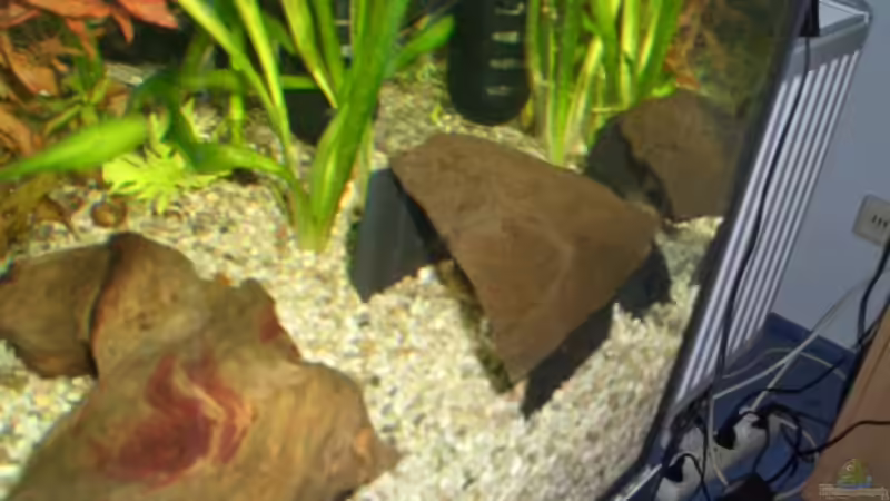 wurzel und höhle (selbstgebaut) =) von Andre Schumacher (21)