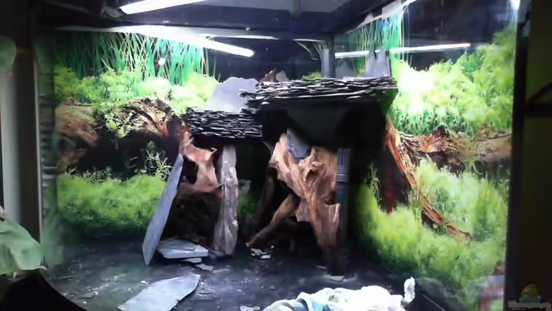 Wurzel und Schiefer eine gute Basis von Dieter Pr (4)