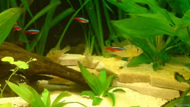 Wurzel und Terasse (aus Sandstein) von Marcel Beilfuss (4)