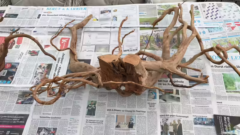 Wurzel zwei von Der Nicky (13)