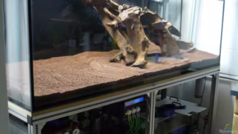 Wurzelbehandlung von OldFriend (13)