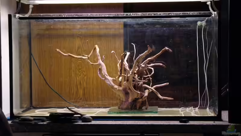 Wurzeldeko von DerHein83 (5)