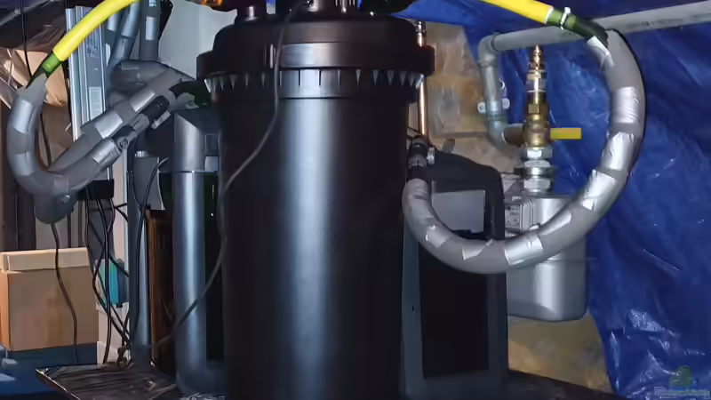 Wurzeldickicht - Januar 2020 - Filteranlage von ravaka (18)