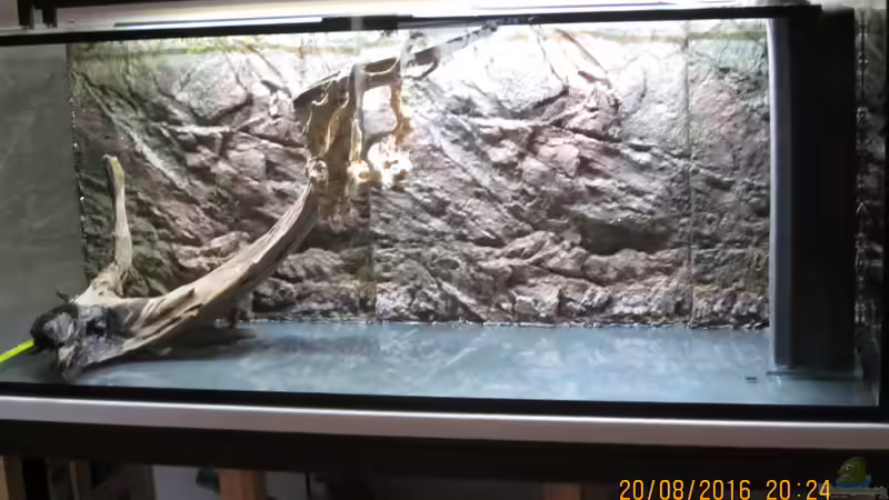 Wurzelexperimente, nichts war mir recht, meine Frau mußte ihre Kreativität einbringen von Ottche (9)