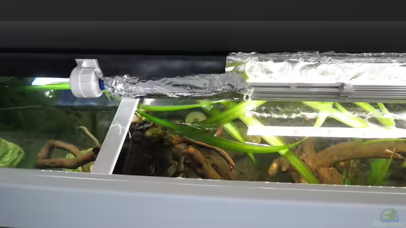 Wurzelhalterungen und Abgeklebte Beleuchtung von Skalarjoe (25)