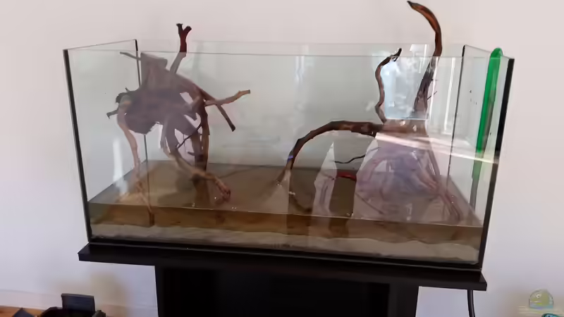 Wurzeln drin! von southheart (8)