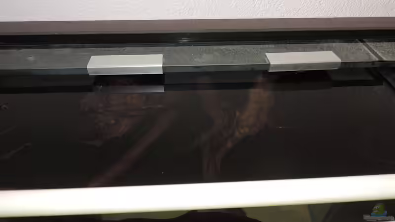 Wurzeln mit Halerung von Fichte (68)